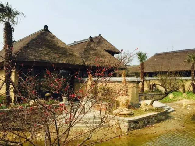 pp���ӡ�(�й�)�ٷ���վ